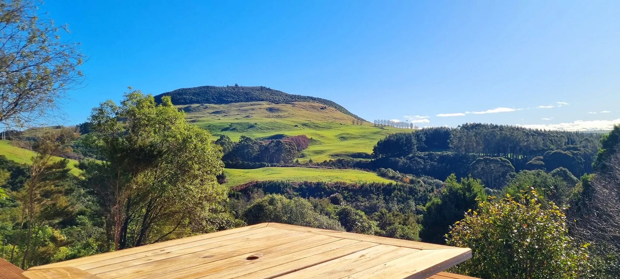 Bush view